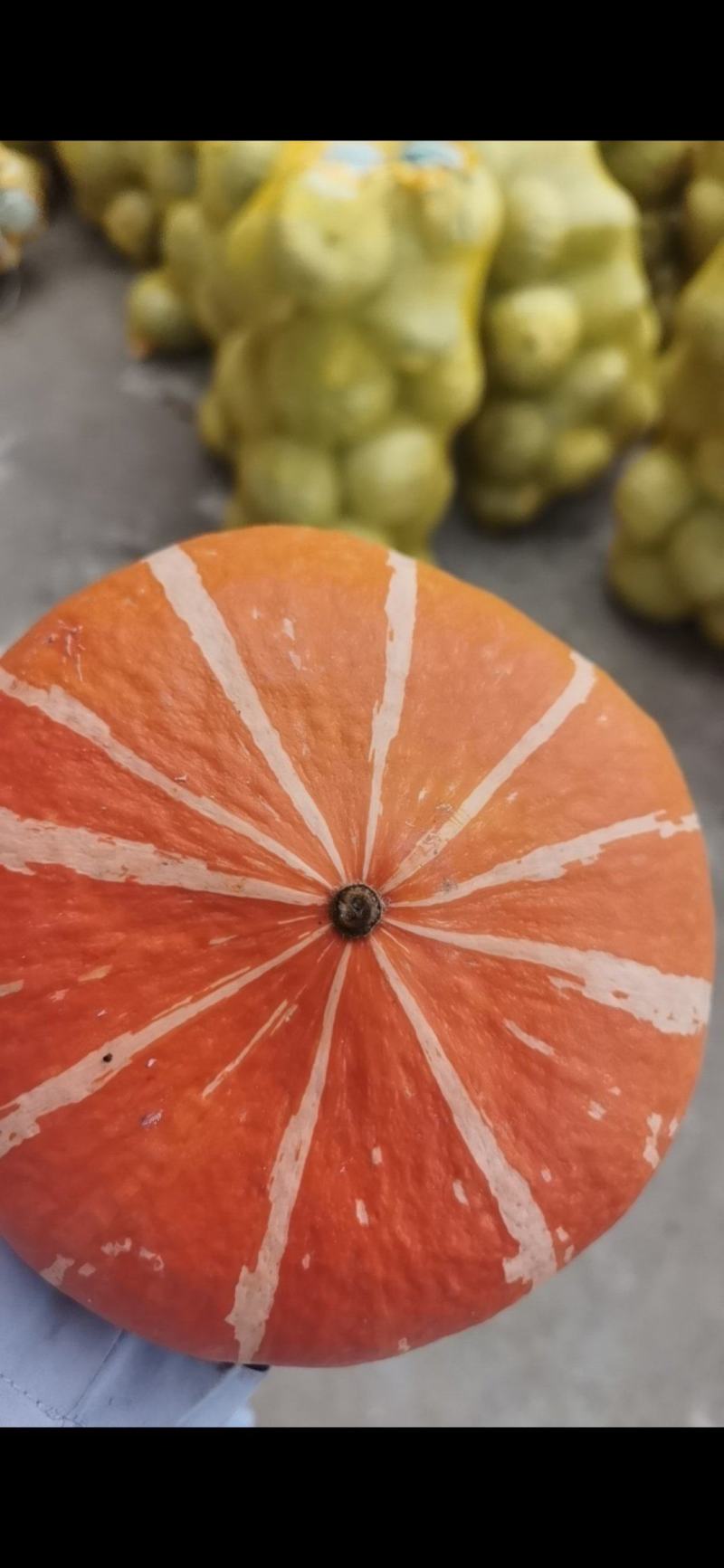 陕西省精品板栗南瓜，量大，可供食堂，电商，市场。