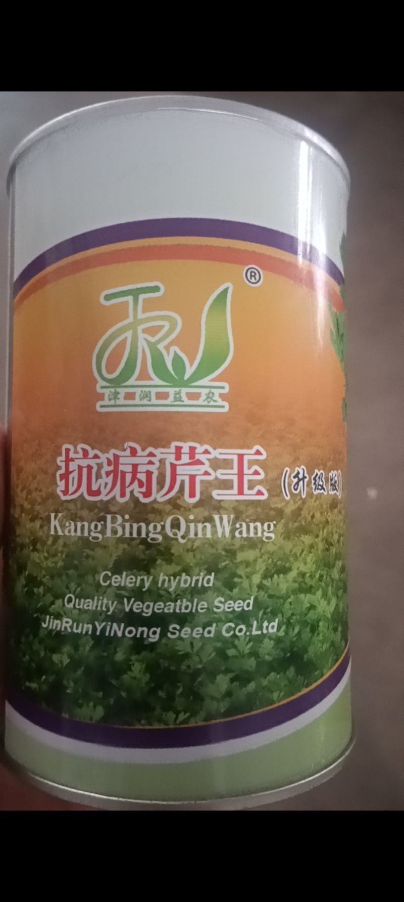 山东芹菜种子抗病芹王我级版基地大户均可栽培高产颜色好看