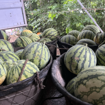 美都西瓜🍉