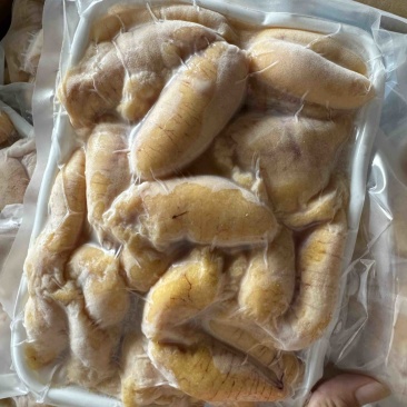 稳定供应鲈鱼籽，黑鱼籽等等新鲜鱼籽