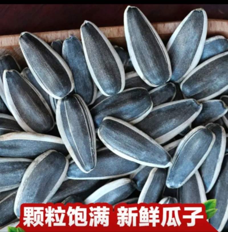 西瓜子中片各种口味厂家直发/批发商代理商看过来