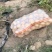 内蒙黄皮黄心土豆批发市场电商商超可定制规一手货源产地直发