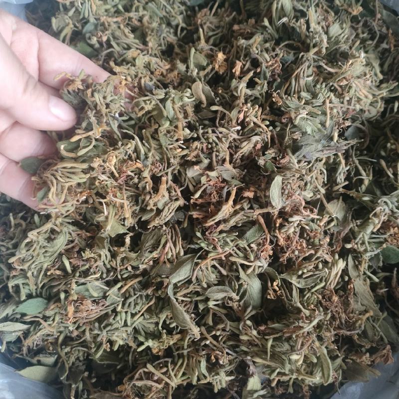 金银花，正宗野生金银花，本地金银花，清香扑鼻，味道甘甜！