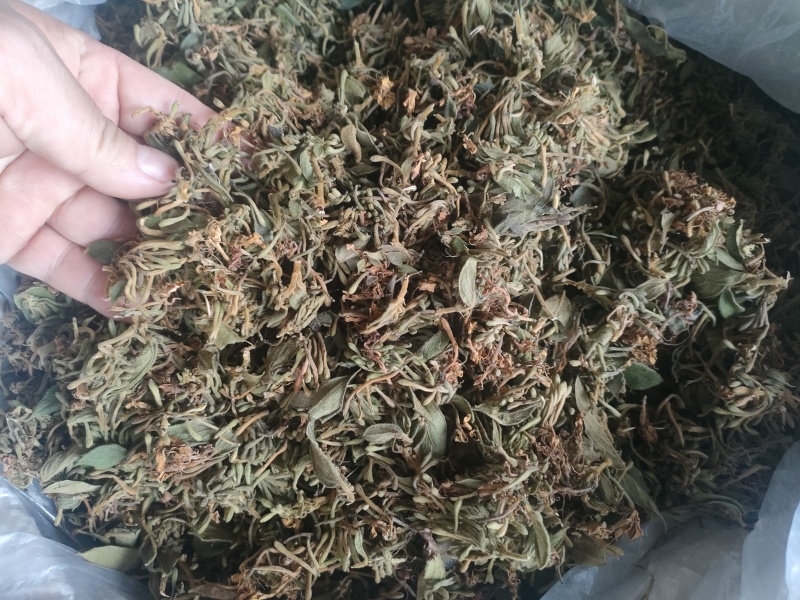 金银花，正宗野生金银花，本地金银花，清香扑鼻，味道甘甜！