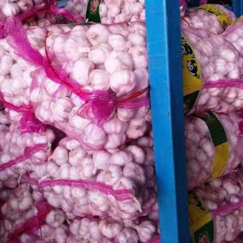 大蒜，量大质优，价格优惠一手货源具体价格可电话商议