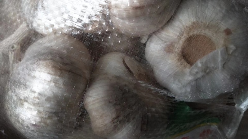 大蒜，量大质优，价格优惠一手货源具体价格可电话商议