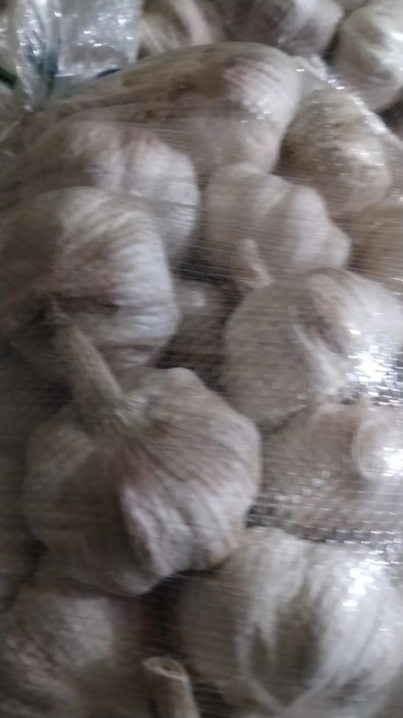 大蒜，量大质优，价格优惠一手货源具体价格可电话商议