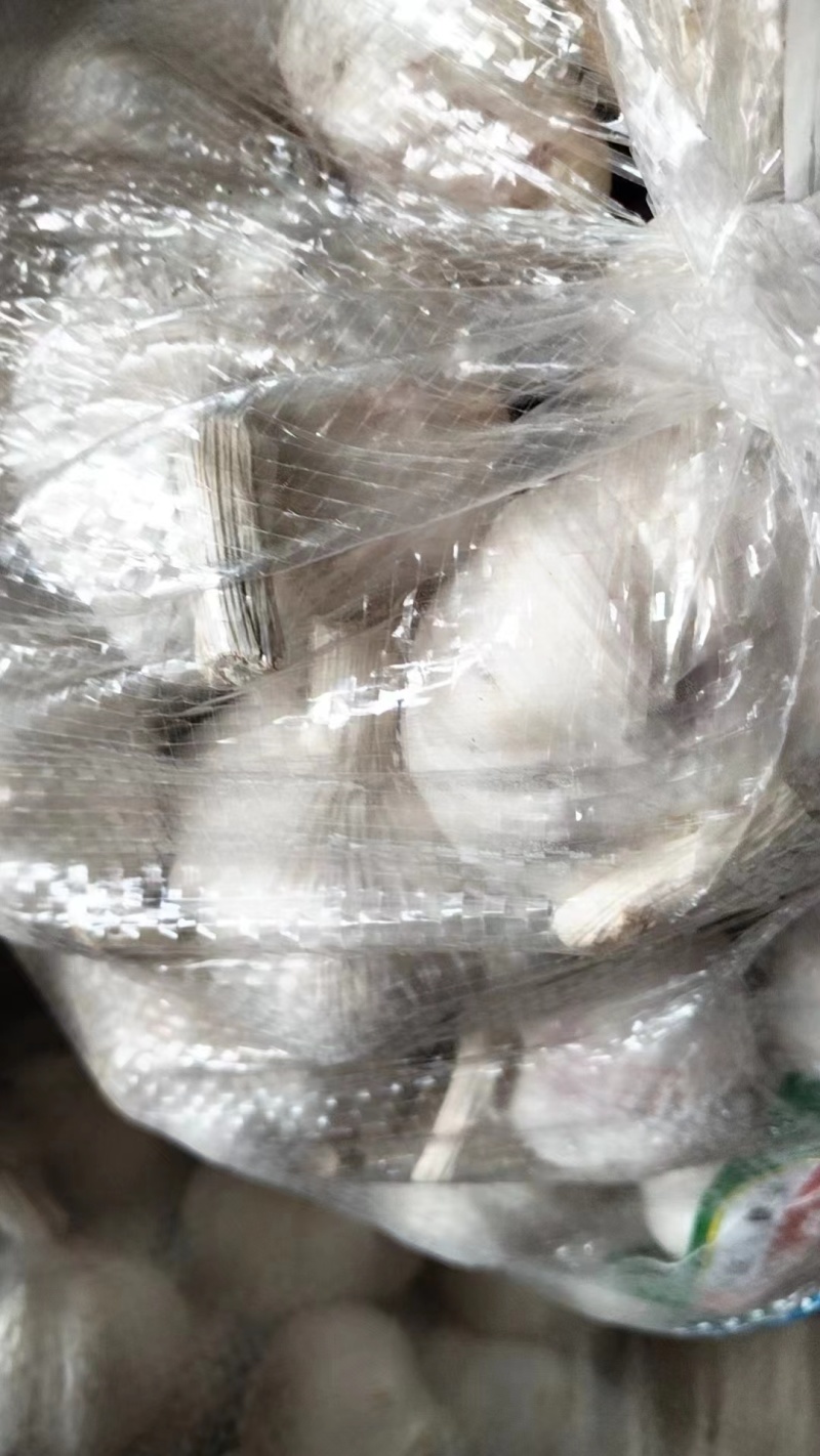 大蒜，量大质优，价格优惠一手货源具体价格可电话商议