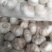 大蒜，量大质优，价格优惠一手货源具体价格可电话商议