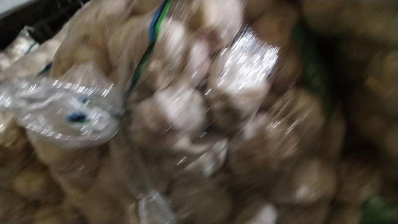 大蒜，量大质优，价格优惠一手货源具体价格可电话商议