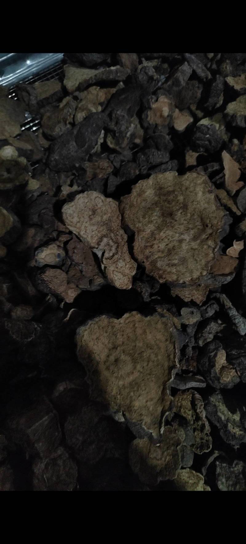 干何首乌野生何首乌，全干货，无杂质货源虫子欢迎咨询