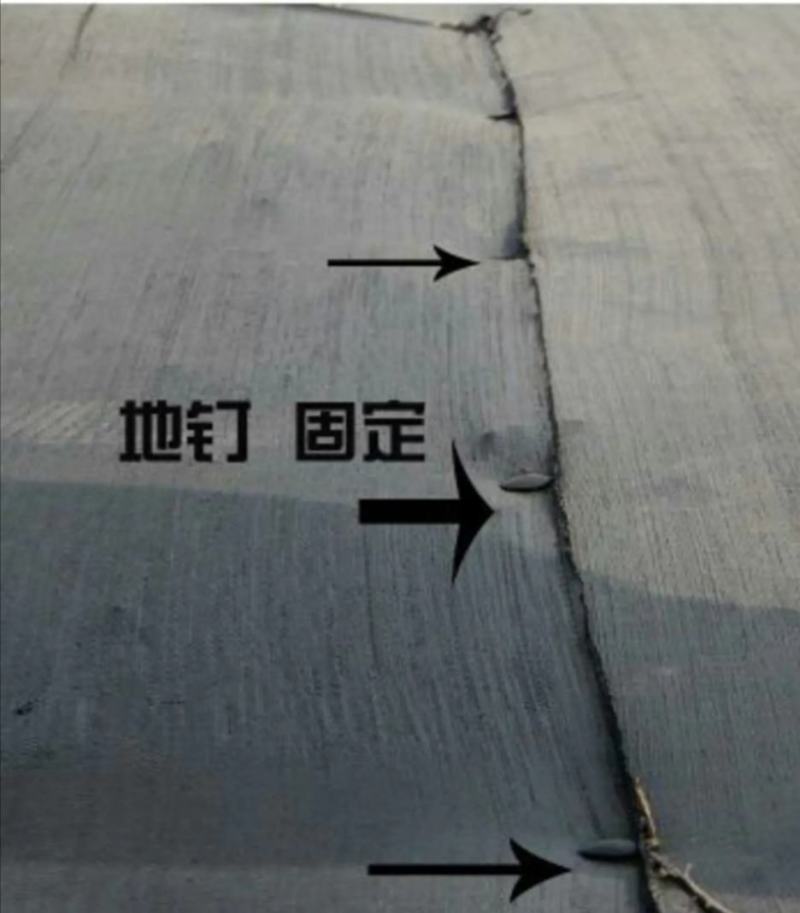 防草布地钉，长度，11公分，16公分20公分用于固定地布