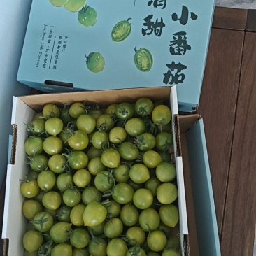 绿宝石清甜番茄