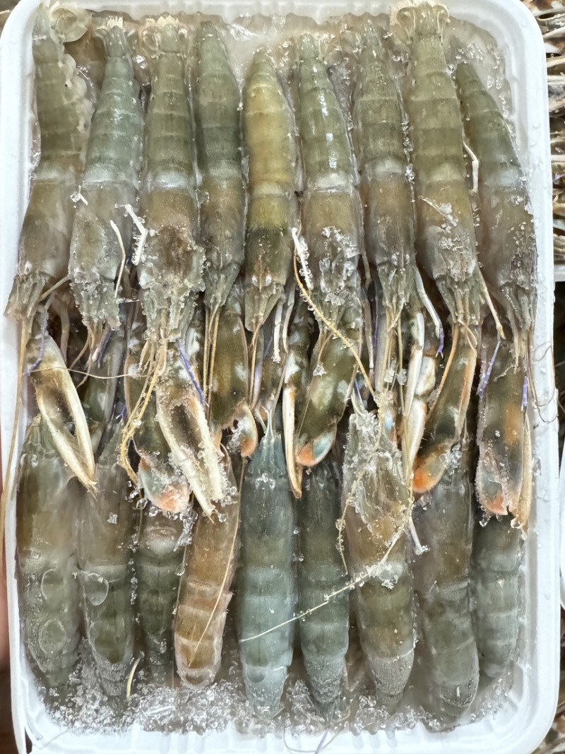 虾，天天码头上岸，个头肥美，适合社区团购，饭店，电商
