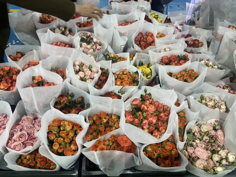 多头玫瑰花，云南鲜花基地直销，颜色齐全，包质包量。
