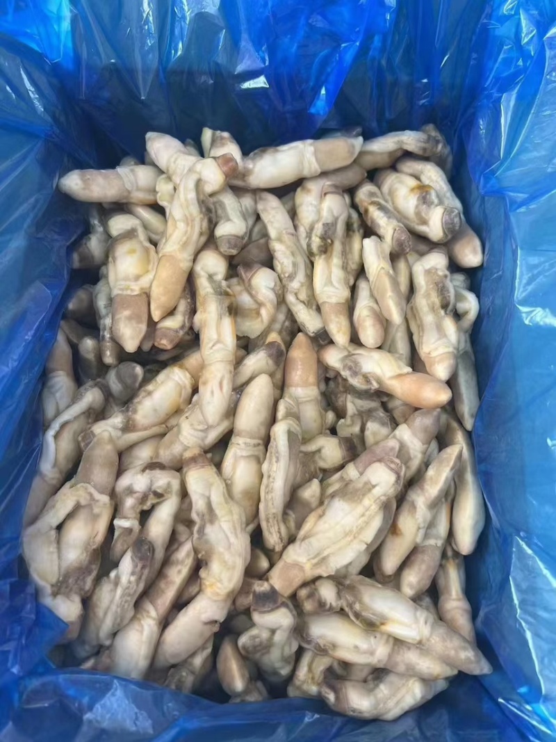 蛏子王肉适合捞汁海鲜快餐酒店大排档自助餐饭堂
