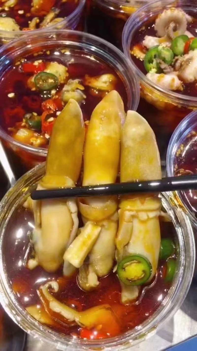蛏子王肉适合捞汁海鲜快餐酒店大排档自助餐饭堂