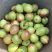 一点红中油5号青果