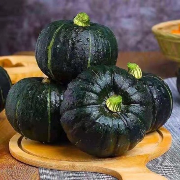 正宗贝贝南瓜板栗南瓜宝宝辅食新鲜蔬菜老南瓜香甜粉糯南瓜包