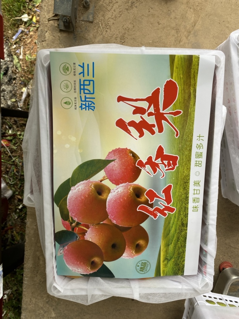 云南红梨新西兰红梨