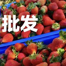 云南四季双流酸草莓新鲜商用冰糖葫芦烘焙奶茶店孕妇一整箱