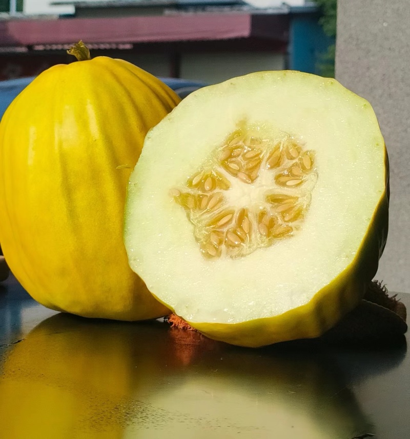 《丑八怪香瓜》皮薄肉厚，籽小瓤少，香甜爽脆，欢迎来电洽谈