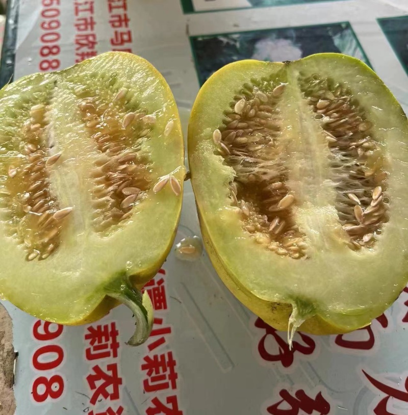 《丑八怪香瓜》皮薄肉厚，籽小瓤少，香甜爽脆，欢迎来电洽谈