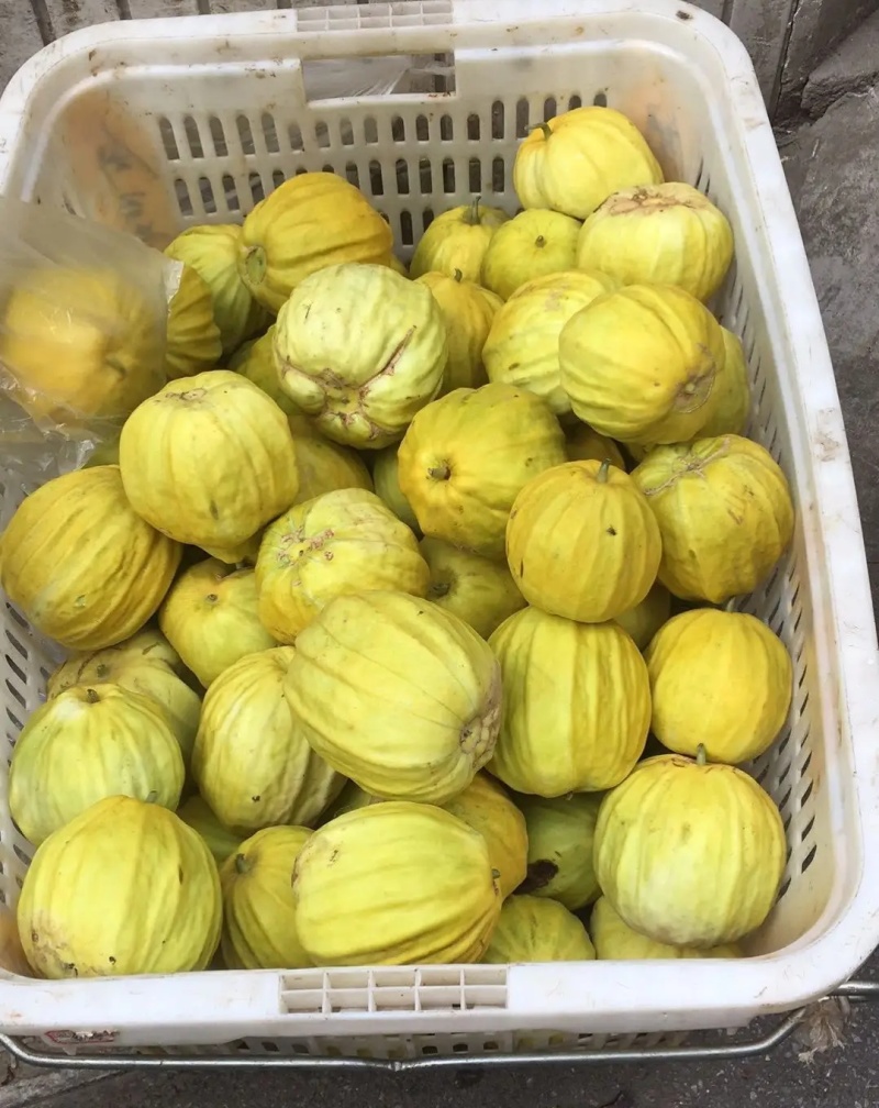 《丑八怪香瓜》皮薄肉厚，籽小瓤少，香甜爽脆，欢迎来电洽谈