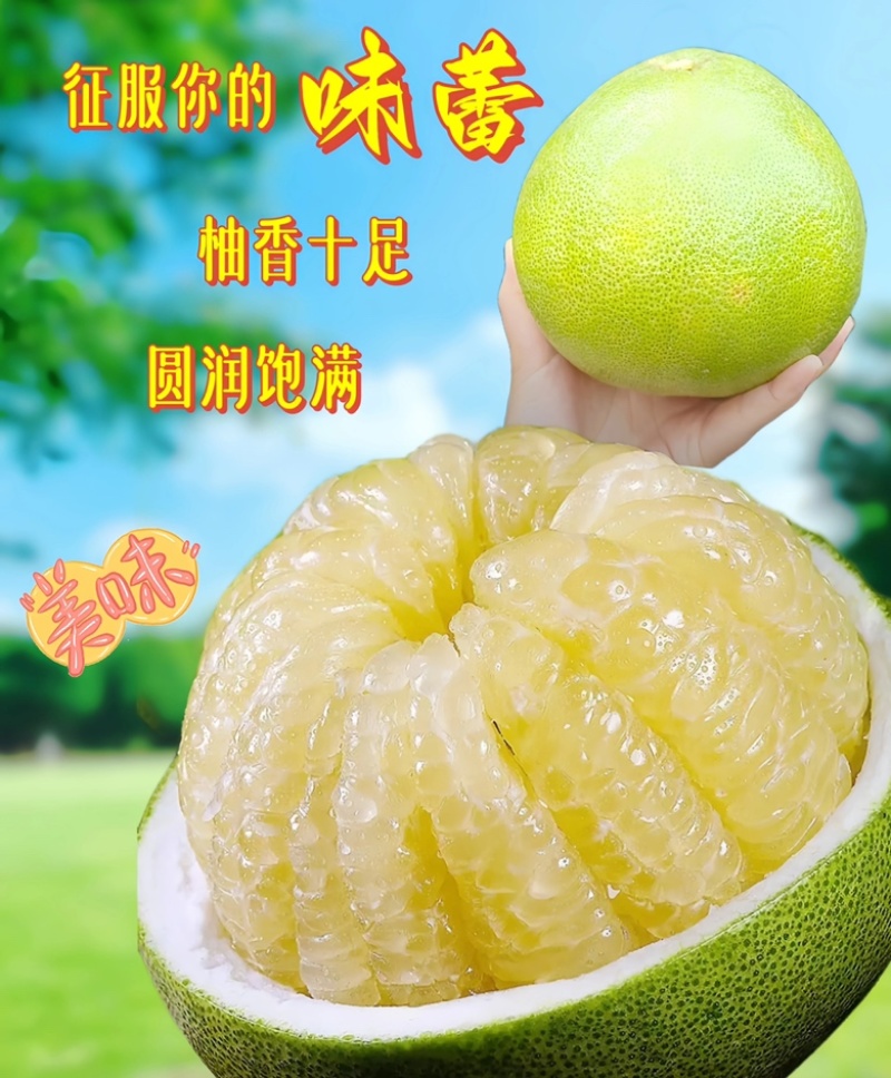 优品青柚纯甜多汁，果肉肥厚，水果！
