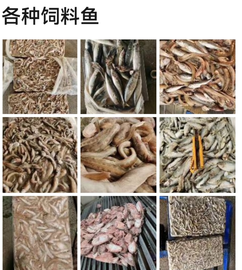 各种鱼饲料