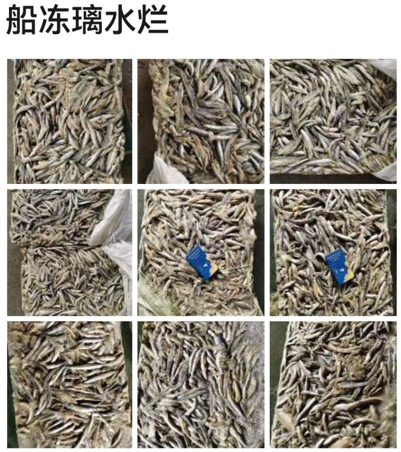 各种鱼饲料