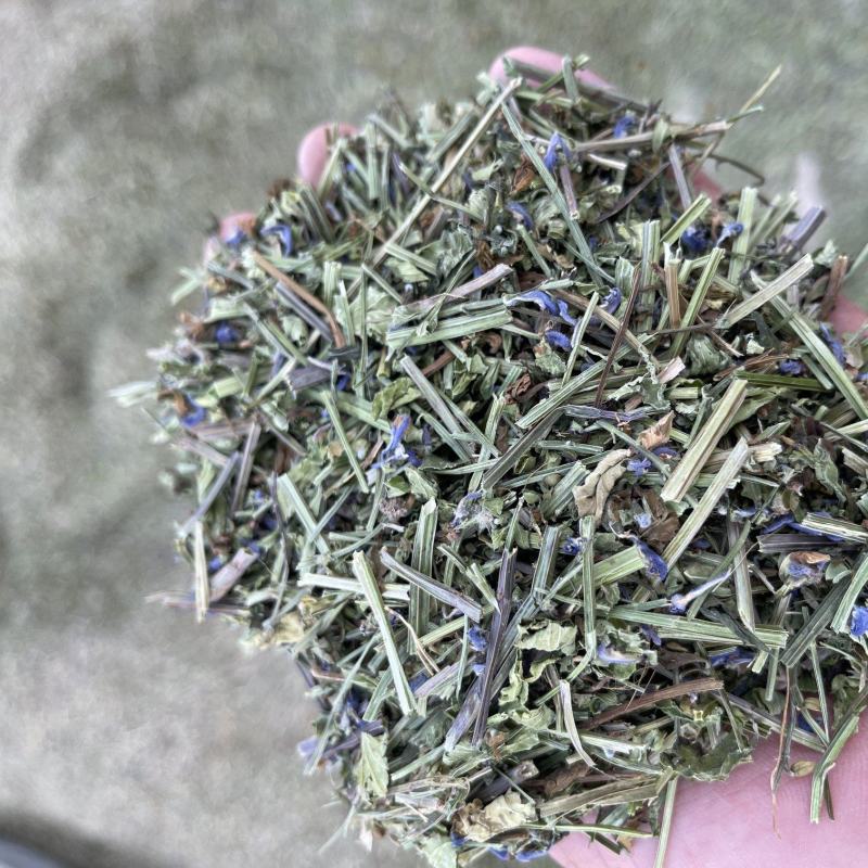 头茬半枝莲片子