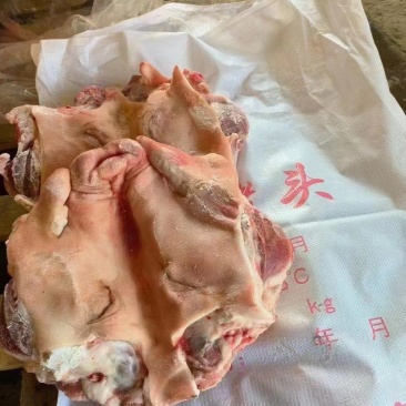 猪头