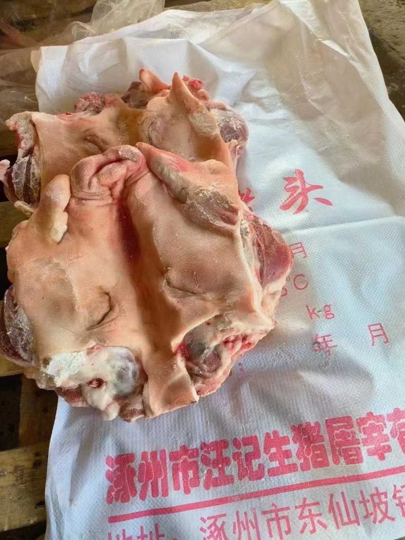猪头