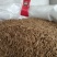 精品新疆孜然颗粒饱满香味浓精品新标孜然批发包邮