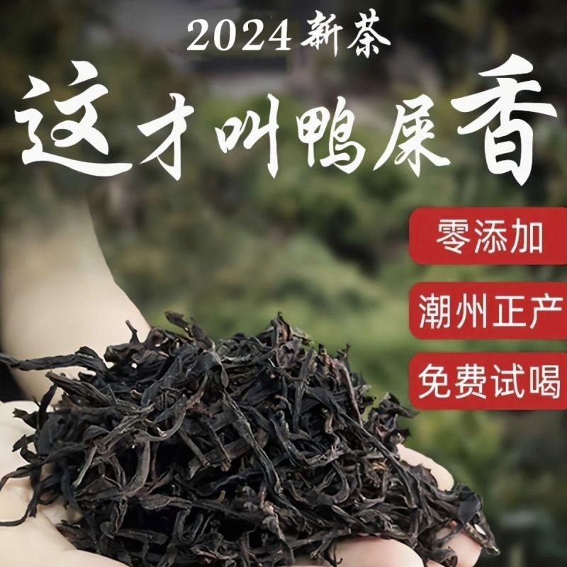 凤凰单丛茶从枞鸭屎香蜜兰香黑浓香型乌龙茶叶批发春节送礼盒