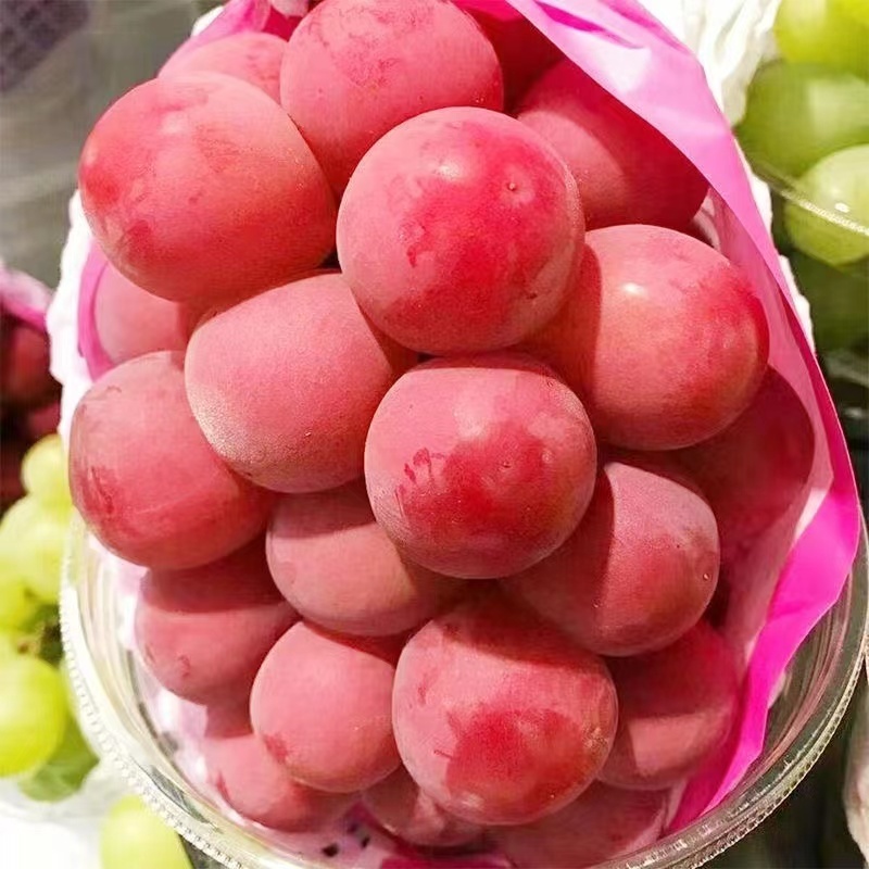 红提青提克仑生，红提精品葡萄基地直供，诚信经营