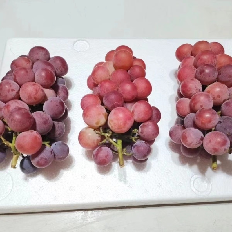 妮娜皇后葡萄基地直供，品质好价格优，代发全国市场