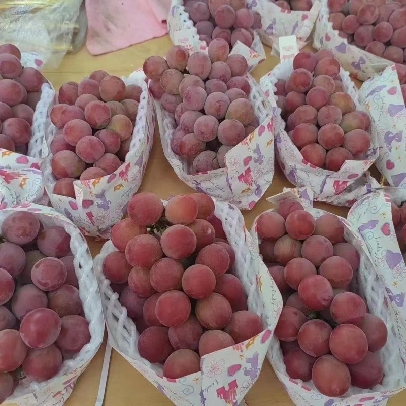 妮娜皇后葡萄基地直供，品质好价格优，代发全国市场