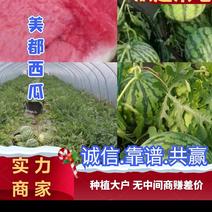 促销江苏精品头茬美都有籽西瓜种植大户无中间商赚差价