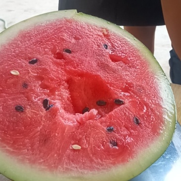 露天西瓜