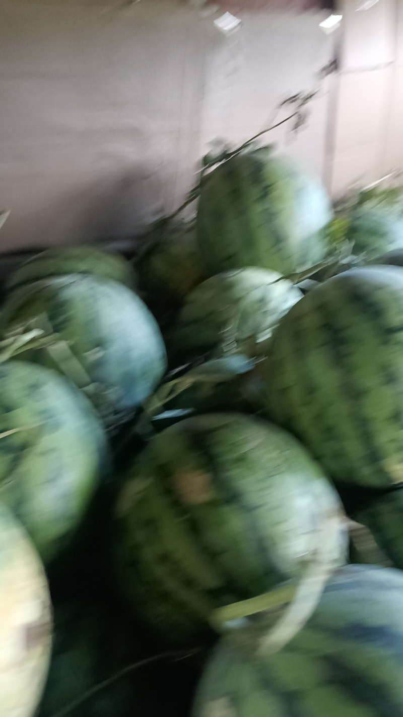 露天西瓜