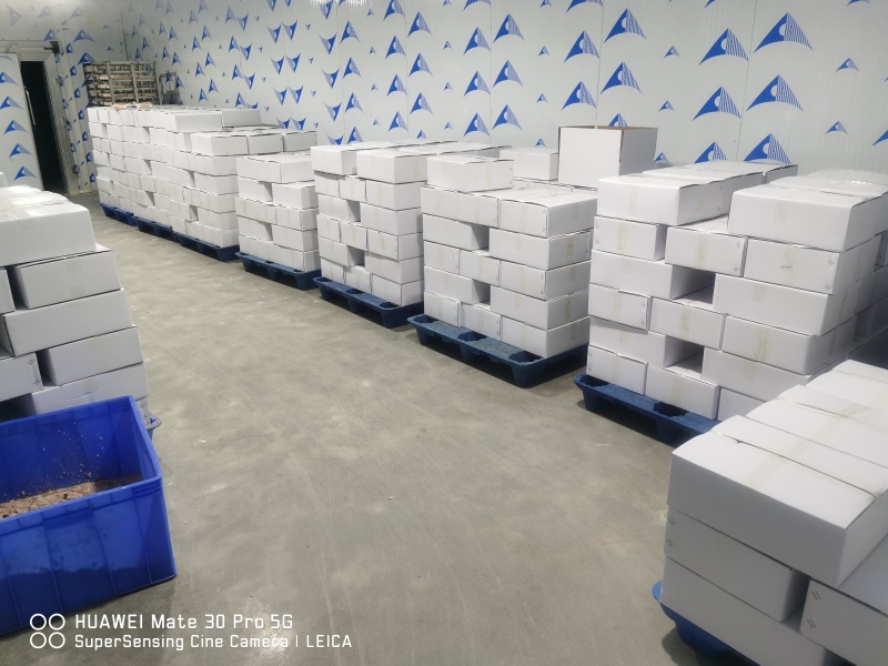 精品黑鱼籽厂家直发品质保证量大从优一手货源