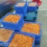 精品黑鱼籽厂家直发品质保证量大从优一手货源