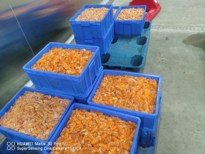 精品黑鱼籽厂家直发品质保证量大从优一手货源
