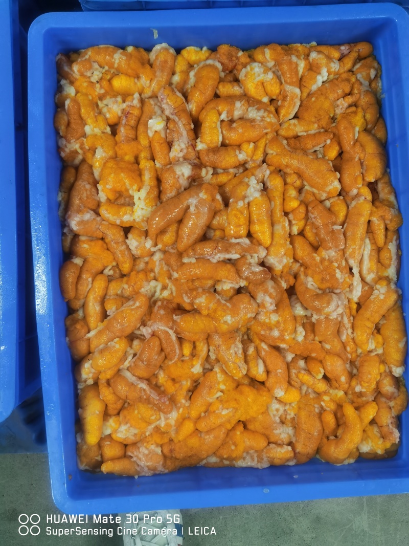 精品黑鱼籽厂家直发品质保证量大从优一手货源