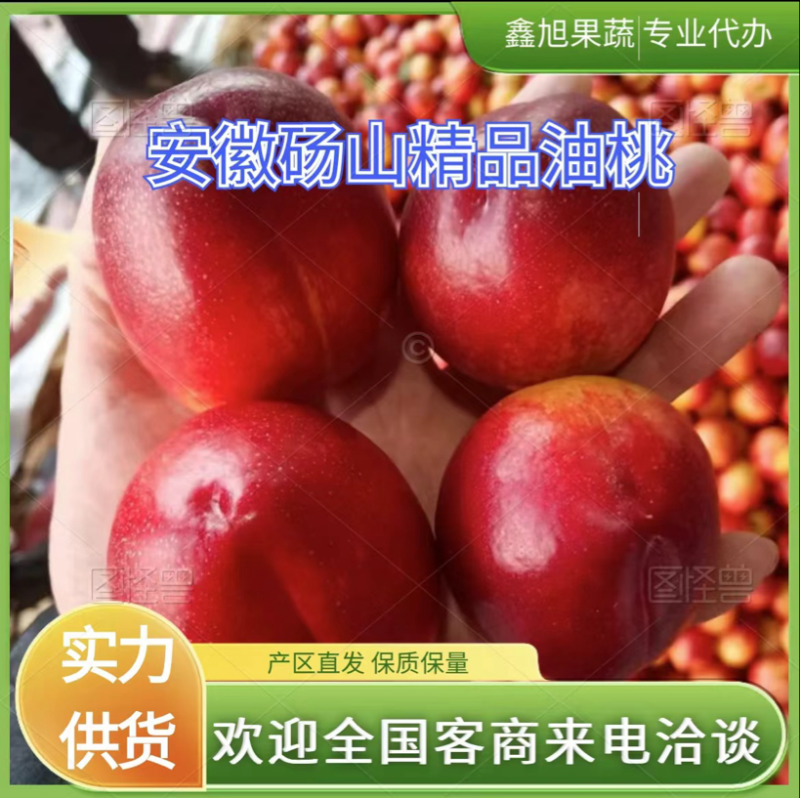 露天油桃品种多货源充足支持各地整车代收代发品质保证