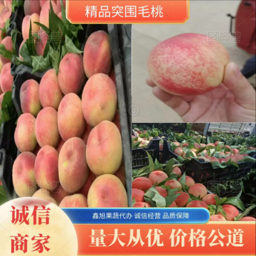 突围毛桃果大颜色靓产地货源多，支持各地整车发货品质保证