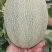 头茬小蜜25大量上市对接电商平台商超市场加工厂价格低，