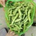 甘肃精品蚕豆角